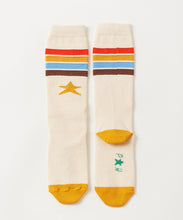 PETITE HAILEY- RAINBOW KNEEHIGH SOCKS