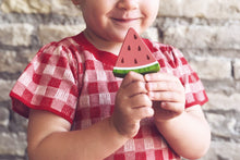 TENDER LEAF TOYS- ICE LOLLY SHOP