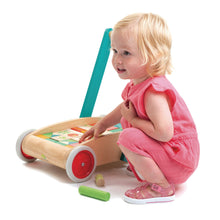 TENDER LEAF TOYS- BABY BLOCK WALKER