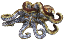 TEXAS TOY DISTRIBUTION- 10" OCTOPUS AQUATIC OCEAN PLUSH