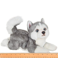 MANOUK PLUSH HUSKY DOG